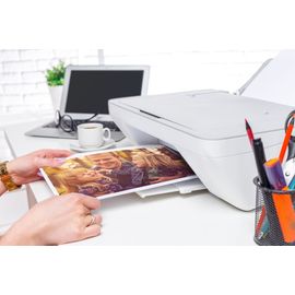 image-3a520ddbb336488a9d56a3fd3197f35d image-3a520ddbb336488a9d56a3fd3197f35d