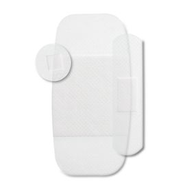 image-8653a847fa9d4df2a0564504a957d2a7 image-8653a847fa9d4df2a0564504a957d2a7