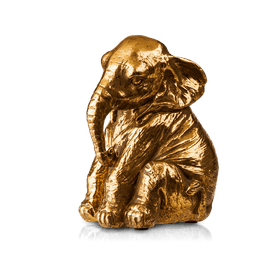 image-01264478b71640a5a2b333675a6ca8e7 image-01264478b71640a5a2b333675a6ca8e7