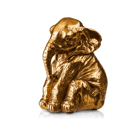 image-01264478b71640a5a2b333675a6ca8e7 image-01264478b71640a5a2b333675a6ca8e7