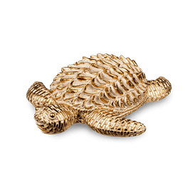 image-65a632b92b42495a9df01845175eb1d5 image-65a632b92b42495a9df01845175eb1d5