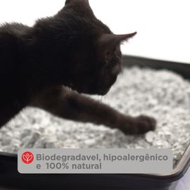 image-1f9439a08f1d40ae826a03297bc391fb